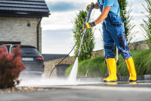 Best Roof Washing  in Fortuna, CA